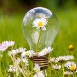 FlowerInLightBulb